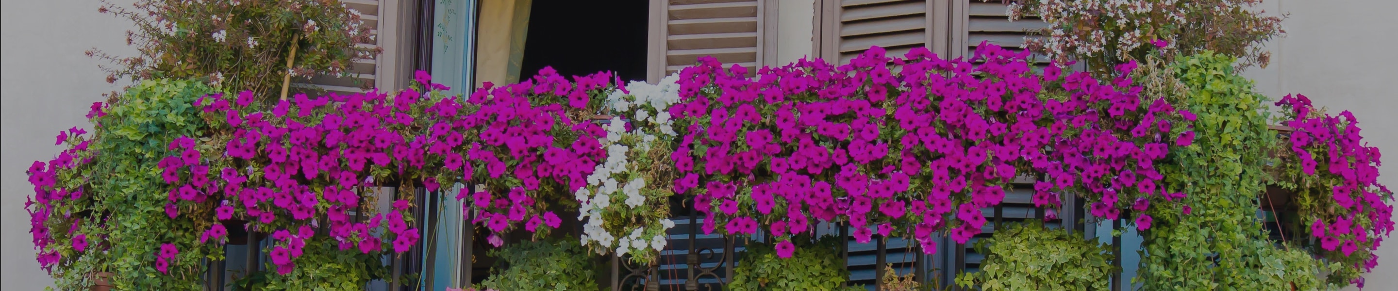 Jardín-Hogar Jardín-Hogar