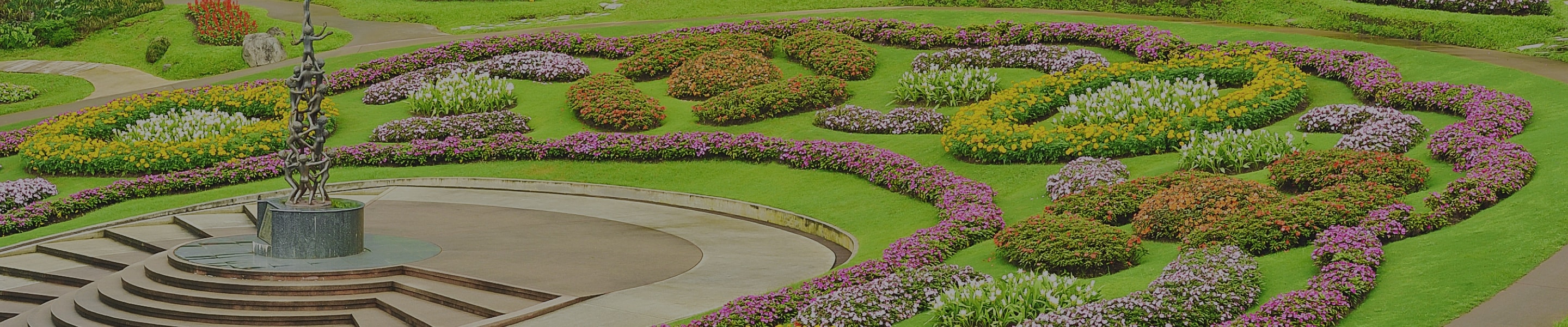 Jardinagem Profissional Jardinagem Profissional